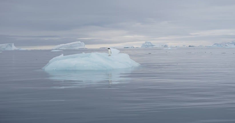 Misteri yang Ditemukan dalam Es Antartika, Ekosistem yang Belum Pernah Dilihat Sebelumnya