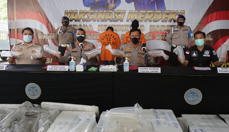 Tangkap 2 Tersangka, Polda Jatim Gagalkan Penyelundupan 38.400 Benur Ilegal 