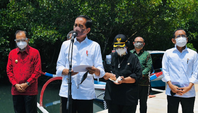 Jokowi Harap Rehabilitasi Mangrove Dapat Tingkatkan Ekonomi Masyarakat