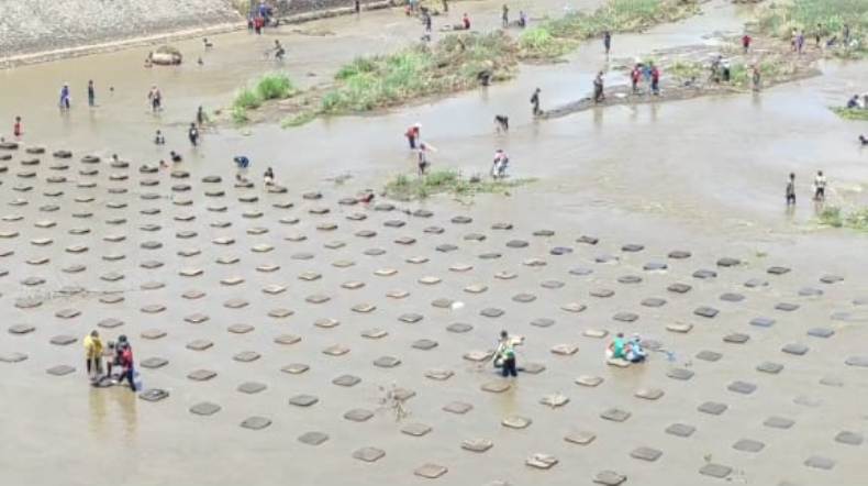 Pintu Air Ditutup, Ratusan Warga di Sukoharjo Berburu Ikan di Dam Colo 