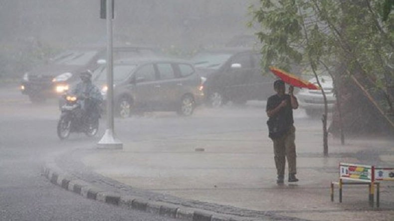 8 Pohon Tumbang di Jaksel gegara Hujan Deras dan Angin Kencang, Ini Lokasinya