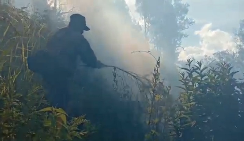 Hutan di Kawasan Gunung Ijen Terbakar, Diduga Karena Puntung Rokok
