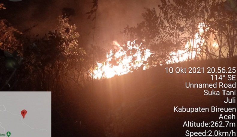 Hutan dan Lahan Krueng Simpoe Terbakar, Tak Ada Korban Jiwa