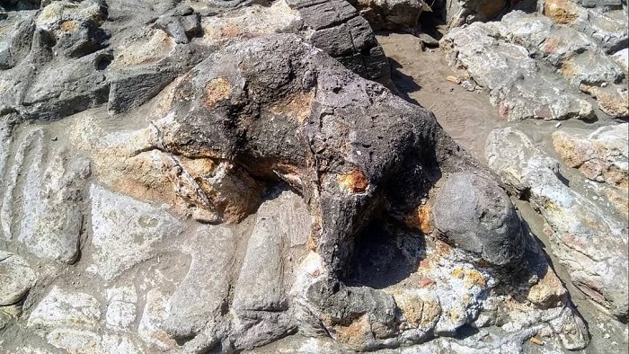 Cerita Rakyat Malin Kundang, Legenda Fenomenal dari Sumatera Barat