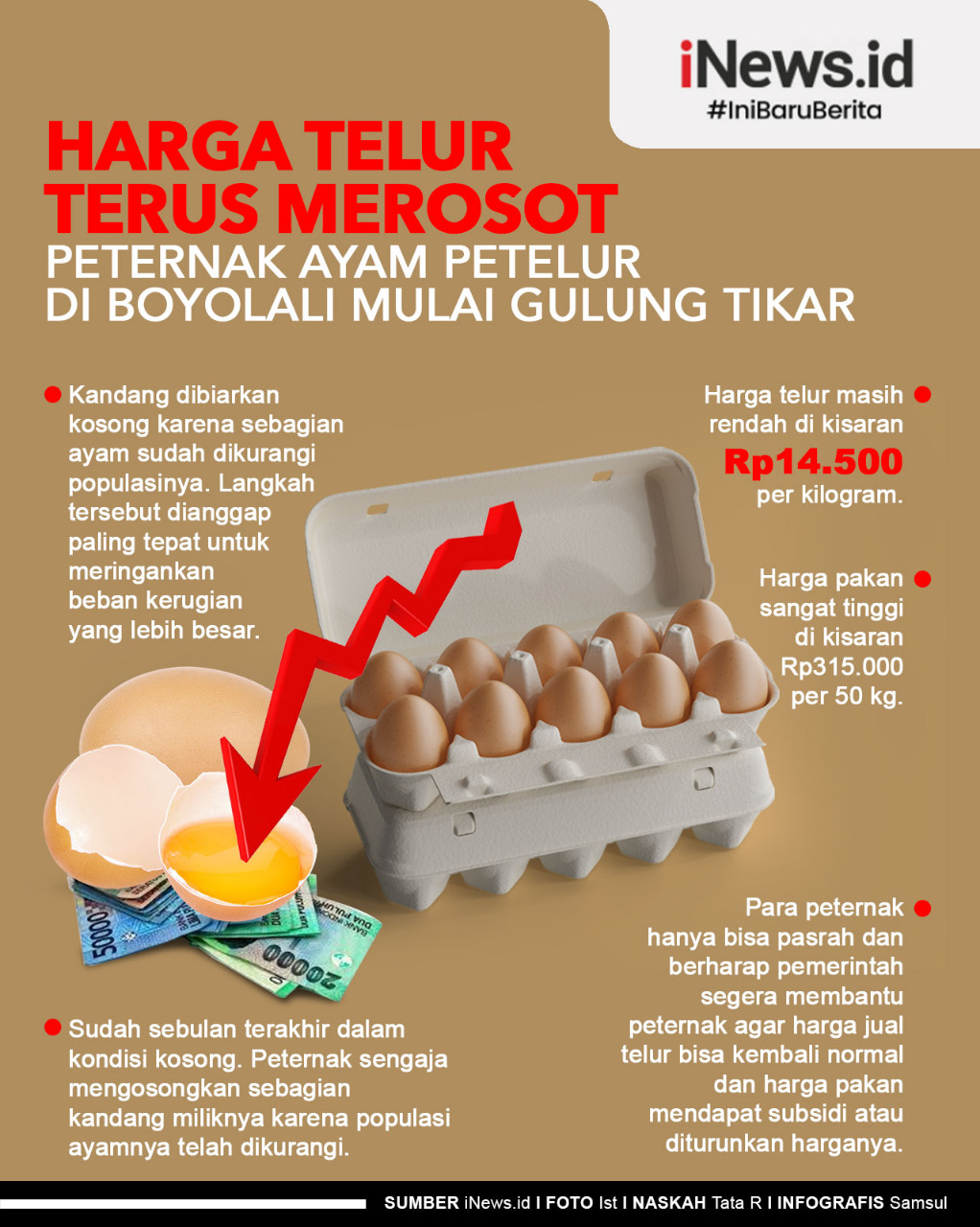 Infografis Harga Telur Terus Merosot, Peternak Ayam di Boyolali Mulai Gulung Tikar