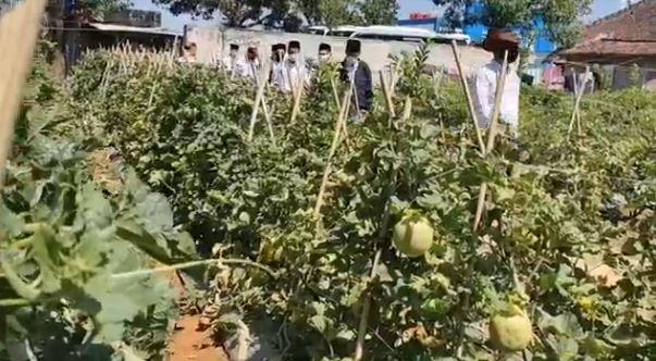 Dukung Ketahangan Pangan, Kapolres Blora Tanam Buah dan Sayuran di Lahan Kosong