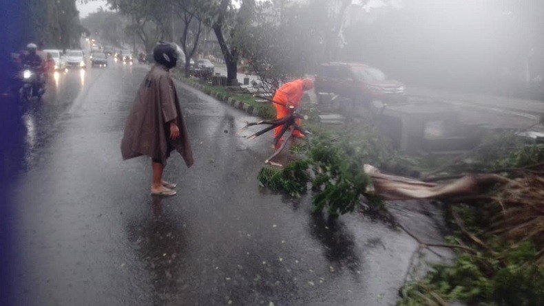 Hujan Deras Disertai Angin Kencang di Bogor, 8 Pohon Tumbang 7 Atap Rumah Warga Rusak