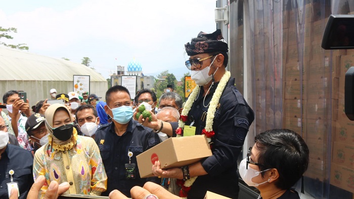  Jeruk Purut Indonesia Diminati di Belanda dan Prancis, Mentan Lepas Ekspor dari Kota Batu