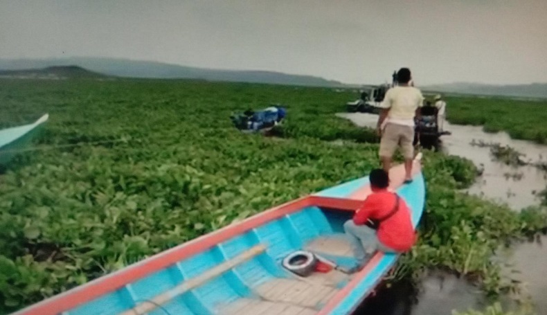 Belasan Warga Terjebak Eceng Gondok di Waduk Jatiluhur Purwakarta, Perahu Tertahan 24 Jam