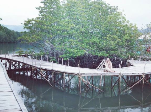 Hutan Mangrove Memiliki Fungsi Ekologis Apa Saja? Ini Jawabannya