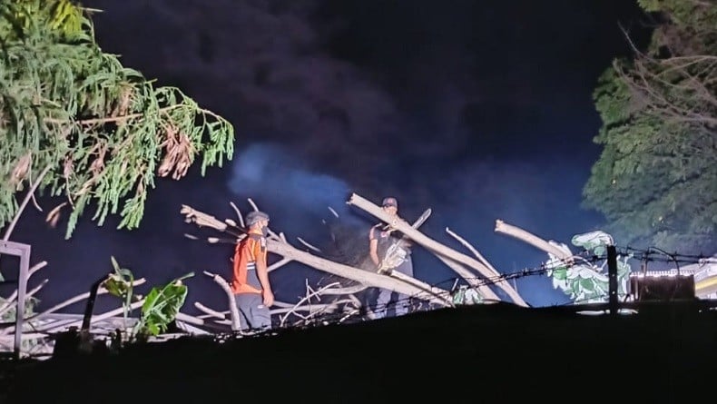 BPBD : 11 Bencana di Bogor, Tanah Longsor hingga Angin Kencang