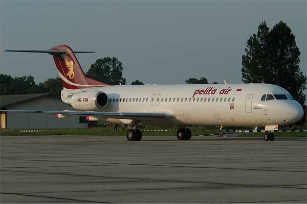 Tanggapi Wacana Gantikan Garuda, Komut Pelita Air: Peluang Menarik