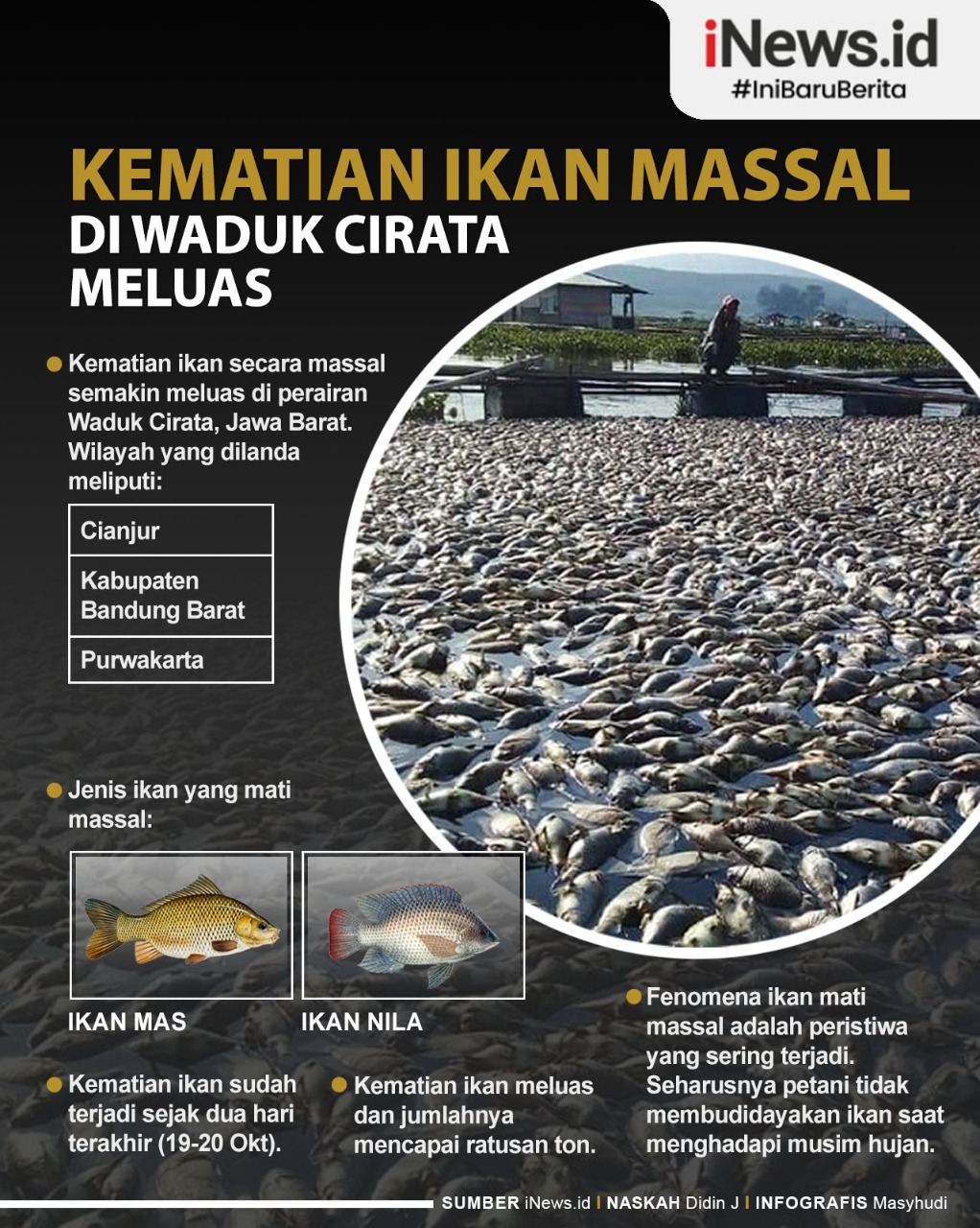 Kematian Ikan Massal di Waduk Cirata Meluas ke Purwakarta dan KBB