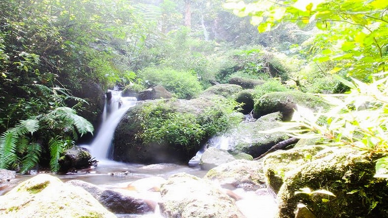 Pesona Eksotis Curug Cilingga Payung di Pedalaman Hutan Gununghalu KBB