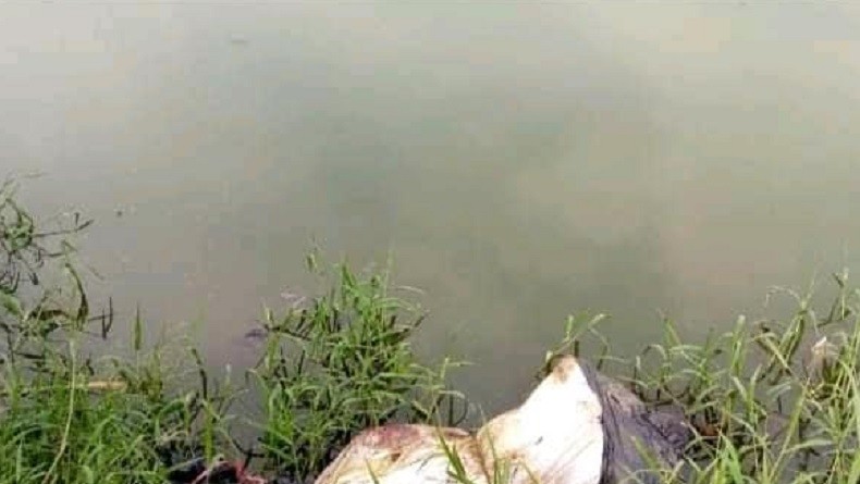 Geger, Mayat Ditemukan Terbungkus Kain Putih di Bantaran Kali BKT Cilincing