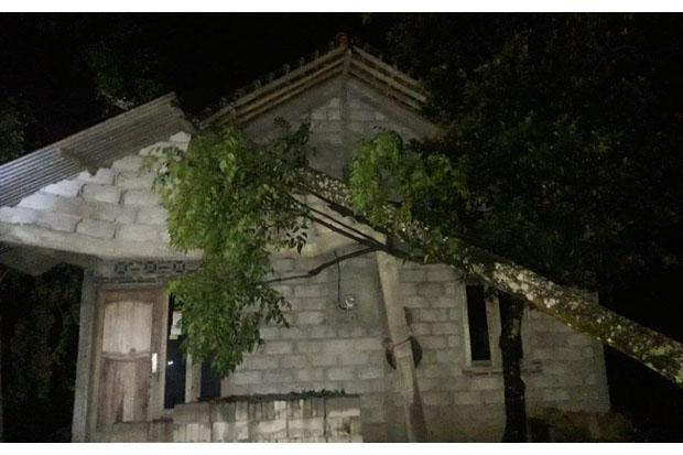  Sleman Diterjang Angin Kencang, Rusak Rumah Warga dan Tumbangkan Pohon