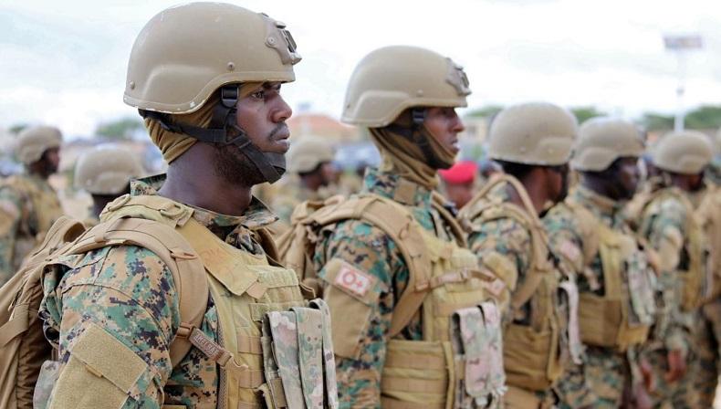 Tentara Gelar Operasi Militer, 2 Kota dan 8 Desa Bebas dari Teroris