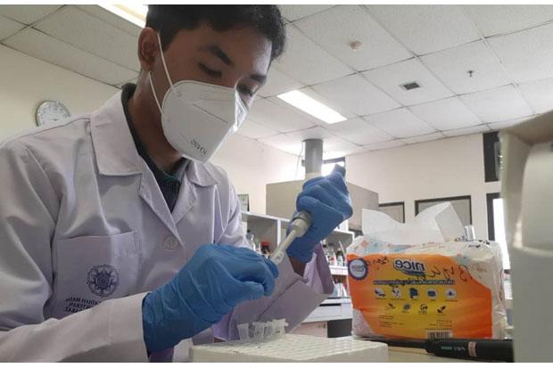 Besok Terakhir! Ini Manfaat Ikut Program Magang Bersertifikat untuk Mahasiswa dari Kemendikbudristek