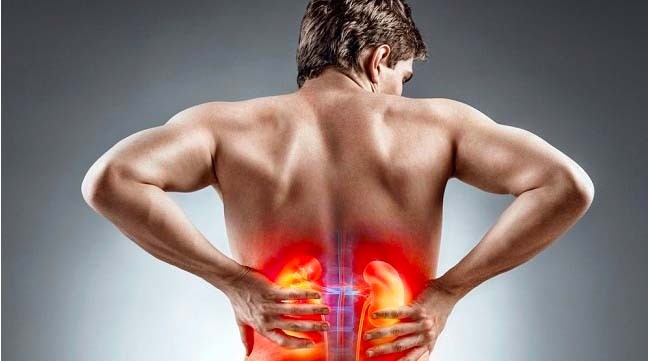 8 Cara Menghindari Penyakit Ginjal, Penyebab Musisi Oddie Agam Meninggal Dunia