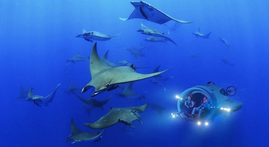 Perusahaan Belanda Luncurkan Mobil Kapal Selam Bisa Berenang hingga Kedalaman 305 Meter