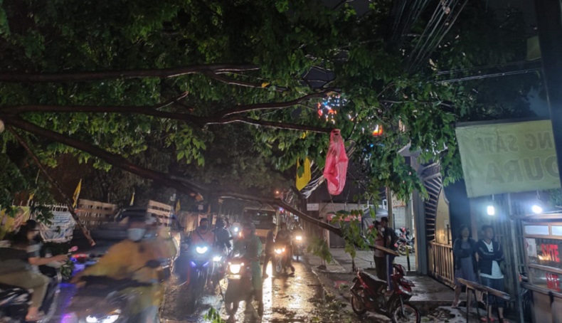 Pohon Tumbang akibat Hujan Deras, Jalan Akses Bekasi Utara Terputus