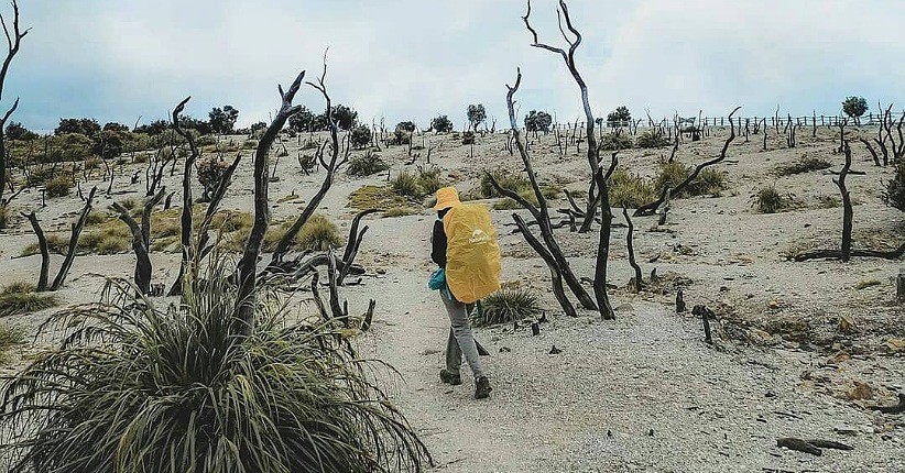Ide Liburan di Garut, Asyik Jelajahi Hutan Mati hingga Situ Bagendit yang Eksotis