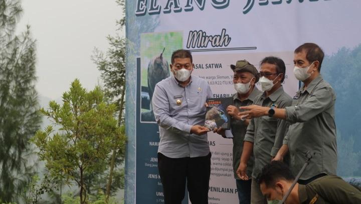 KLHK Lepas Liarkan Elang Jawa di Kawasan Hutan Gunung Semeru 