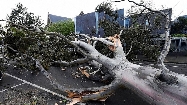 Kota Melbourne Dilanda Angin Topan, Ratusan Rumah Rusak Berat