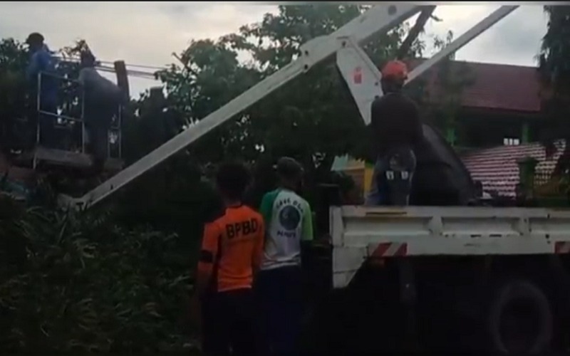 Pohon Tumbang, Jalinteng Muara Enim - Prabumulih Macet Total 