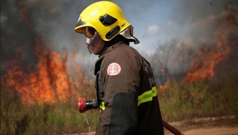 Gua Tempat Latihan Runtuh, 9 Petugas Pemadam Kebakaran yang Terjebak Tewas
