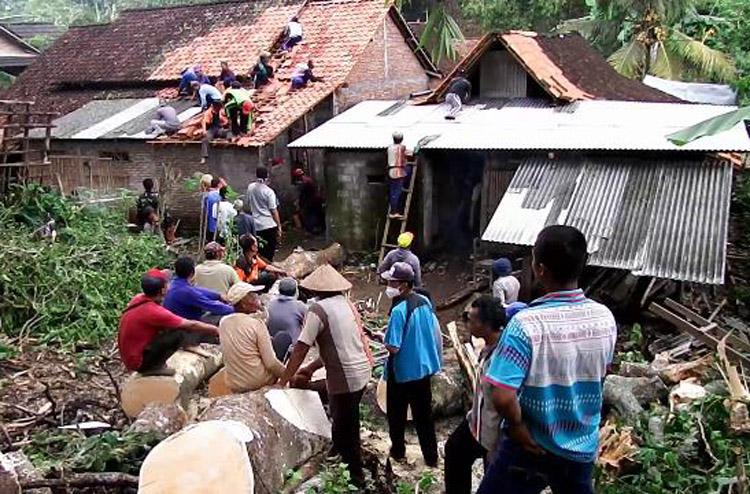 Pohon Gedoyo Berusia 100 Tahun di Gunungkidul Tumbang Timpa Atap Rumah Warga