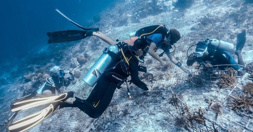 Wisata Selam Diminati Wisman, Sandiaga Uno Dukung Pelaku Industri Miliki CHSE