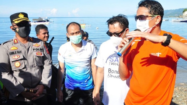 Panjang 6,2 Meter, Hiu Paus Botubarani Diberi Nama Sandiaga Salahuddin Uno
