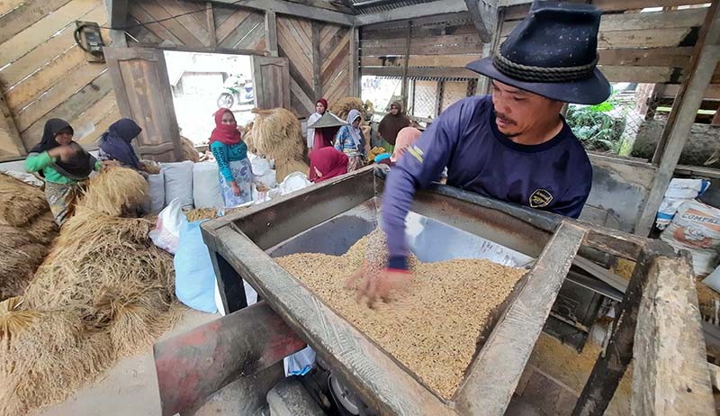 5 Contoh Teks Argumentasi tentang Ketahanan Pangan