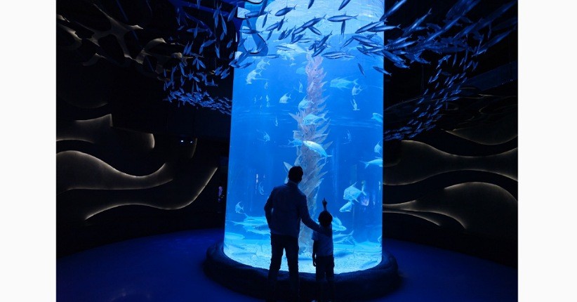 Mengintip Keseruan Festival Musim Gugur ala Korea di Jakarta Aquarium Safari 