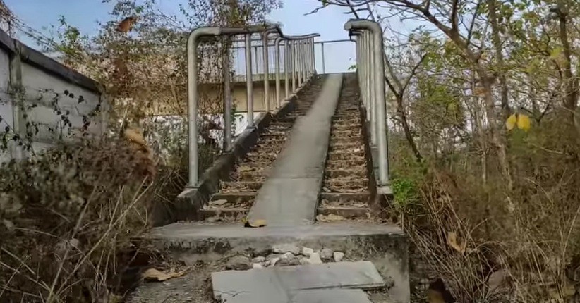 Viral Jembatan Misterius di Tol Jombang Terhubung dengan Hutan, Siapa yang Lewat?