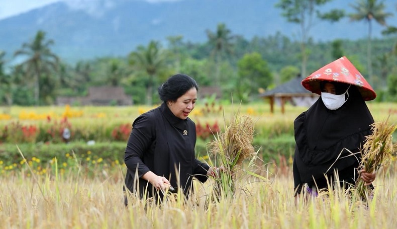 Ketua DPR: Cegah dan Hapus Segala Bentuk Kekerasan terhadap Perempuan
