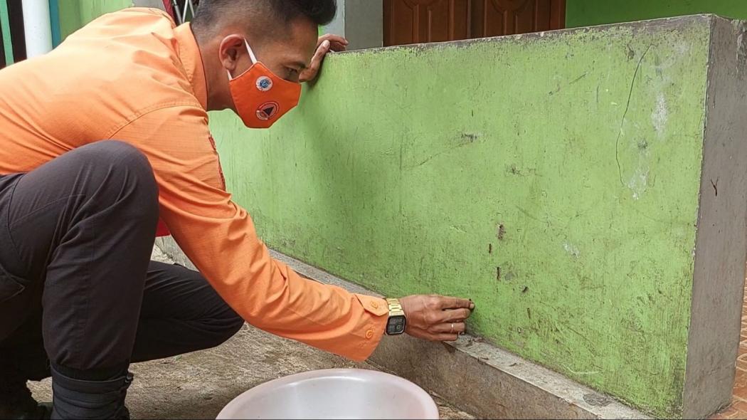 Warga Kampung Cimanggu Wates Diserang Ratusan Ulat Bulu, BPBD Bogor Turun Tangan