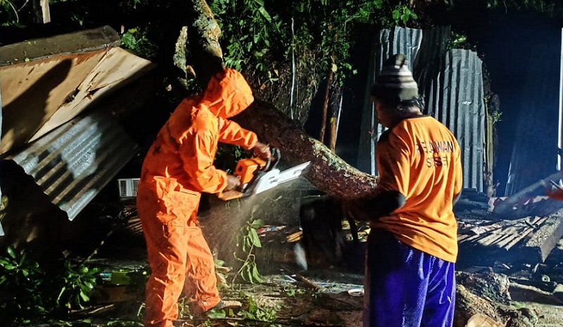 Korban Tewas Akibat Pohon Tumbang di Mojokerto Bertambah Jadi 3 Orang 