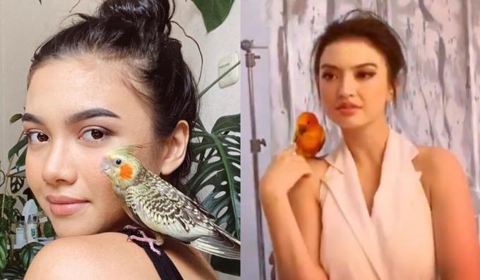 4 Artis Cantik Penyuka Burung, Nomor 2 Jarinya Pernah Dipatuk