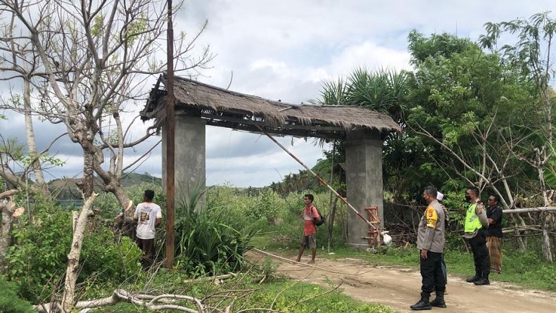 Usai Viral Aksi Warga Naik Pohon Nonton Balap di Sirkuit Mandalika, Langsung Ditebang
