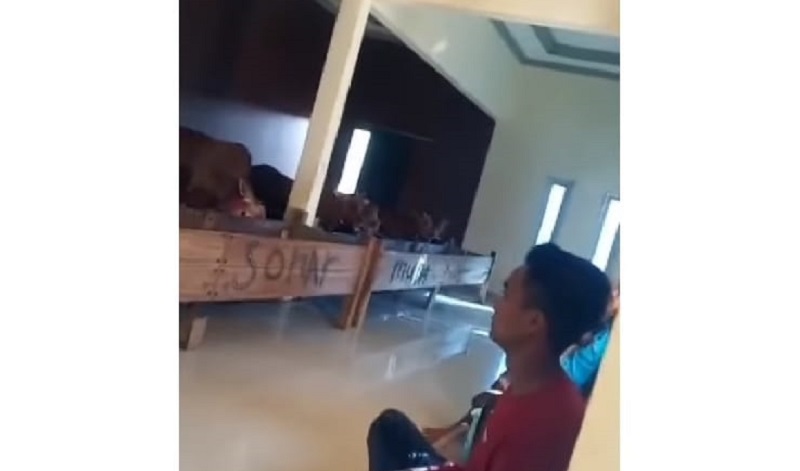 Viral Kandang Sapi Mewah di Madura, Lantai Keramik Mengkilap Atapnya Plafon Bermotif