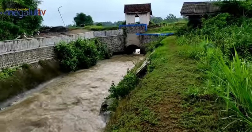Mengintip Fenomena Unik Sungai Terbalik di Jombang, Ini Penampakannya  