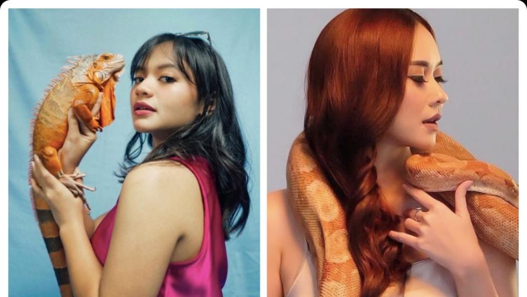 4 Artis Cantik Penyuka Hewan Reptil, Nomor 3 Berani Pose Seksi Bareng Ular Phyton