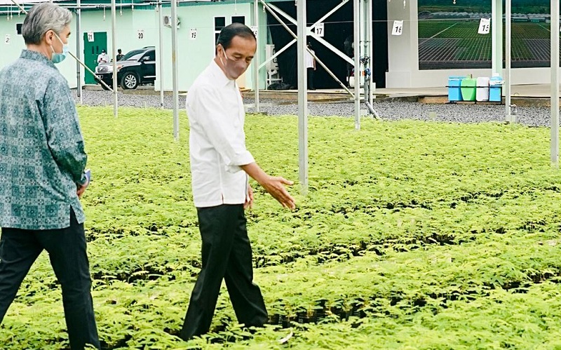 Ajak Beberapa Dubes Tinjau Pusat Persemaian Bogor, Jokowi: Indonesia Serius Atasi Perubahan Iklim