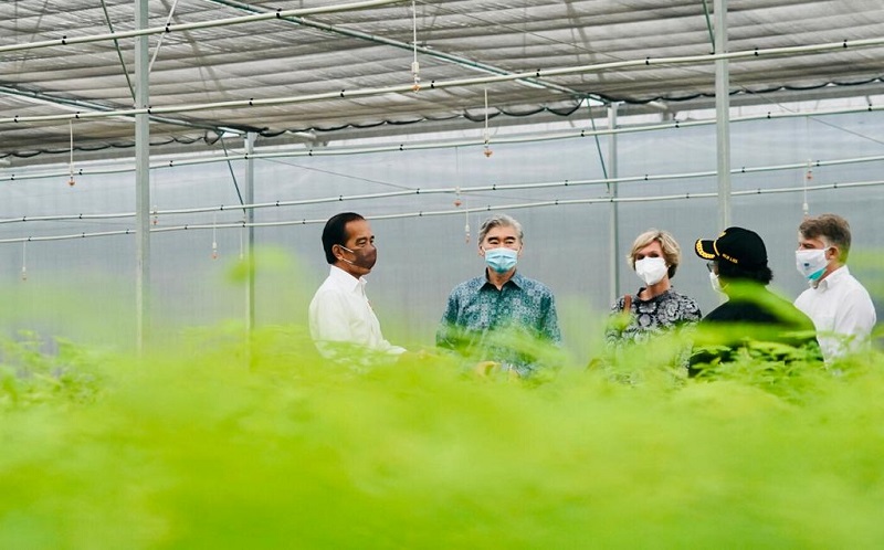 Jokowi Bakal Paksa Perusahaan Sawit dan Tambang Bikin Pusat Persemaian