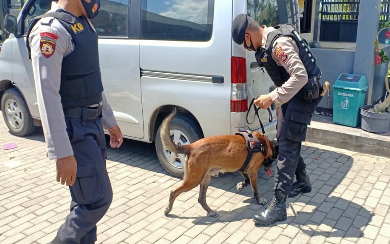 Keren, Anjing Pelacak di WSBK Mandalika Bisa Deteksi Barang Penonton yang Hilang