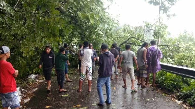 Pohon Tumbang Tutupi Ruas Jalan Kelok 44 Agam, Lalu Lintas Macet