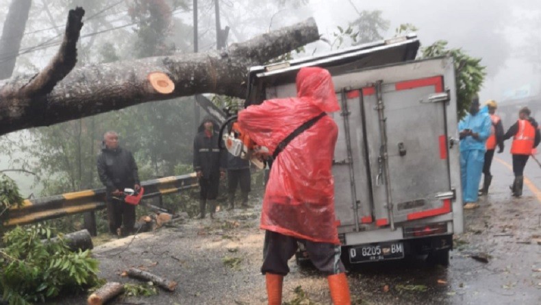 Hujan Deras Disertai Angin Kencang di Bogor, Mobil Boks Rusak Tertimpa Pohon Tumbang