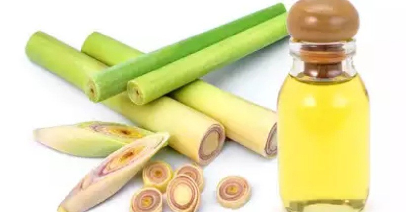 5 Rekomendasi Makanan Sehat agar Kulit Glowing, Mau Coba?